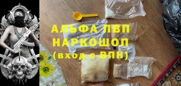 стаф Алзамай