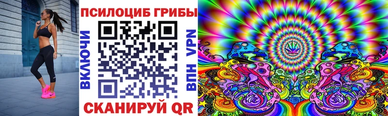 Псилоцибиновые грибы прущие грибы  Сольцы 
